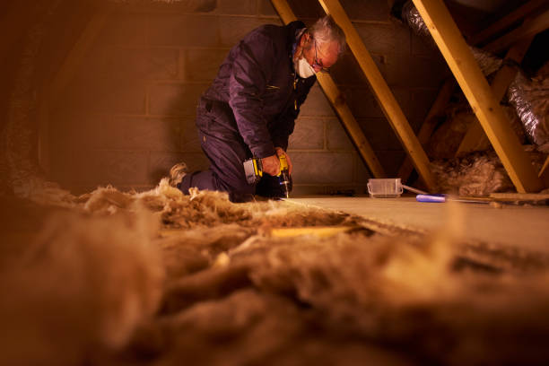 Best Specialized Insulation Services in Five Points, NC